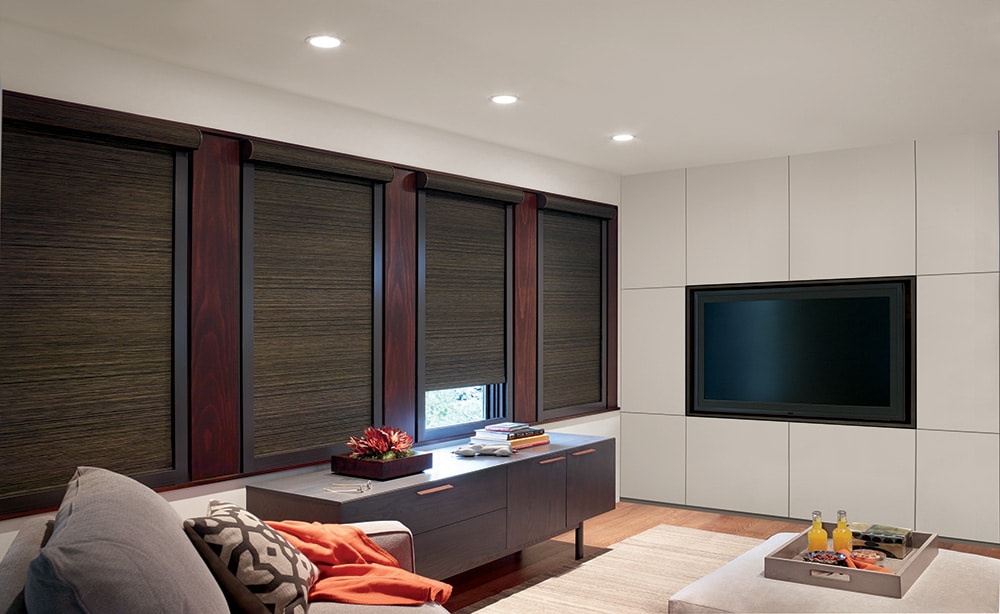 Modern basement media room with dark textured roller shades covering a row of windows, a flat-screen TV, and cozy seating area.